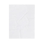 Velveteen Blanket — "Surviving Thanksgiving Travel" Cozy Holiday Travel Throw